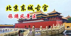 被艹午夜片啊啊中国北京-东城古宫旅游风景区